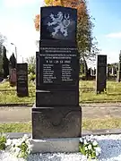 soldats tchèques,