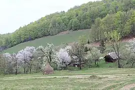 La zone de Khomynske, classée.