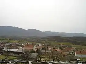 Dolni Lipoviḱ