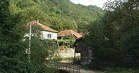 Donje Romanovce
