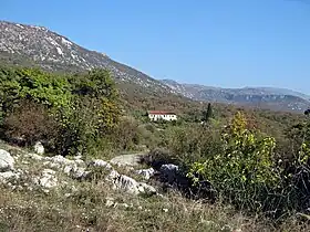 Donji Rsojevići
