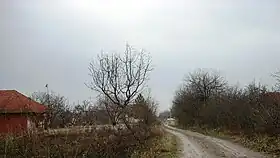Dubrava (Bojnik)