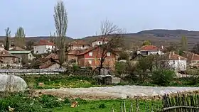 Rakitets