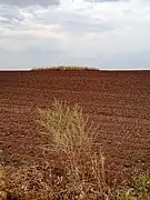 Kourgan, classé,