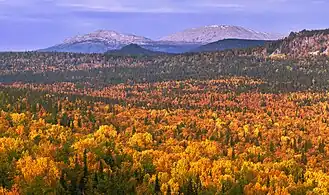 L'automne au mont Iamantou.