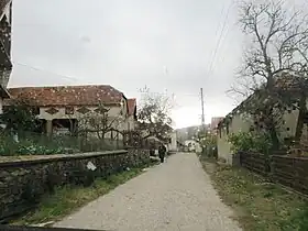 Maletina