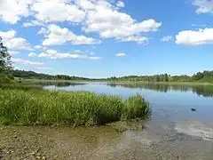 Une rive du lac.