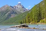 Une rive du lac.