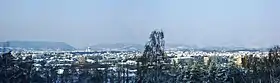 Irchava