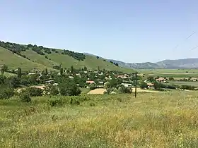Novoselani