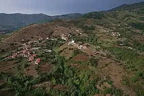 Strayané