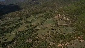Terzeli