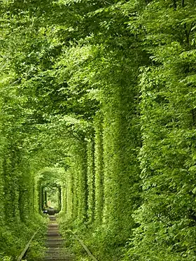 Image illustrative de l’article Tunnel de l'amour de Klevan