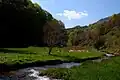 Le torrent Lumija.