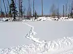 Tunguska