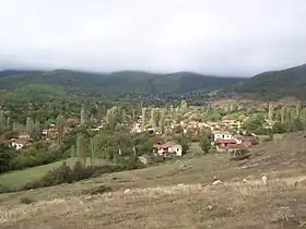 Dolgaets