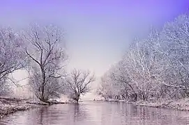 sous la neige.