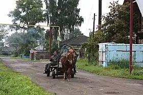 Cheval Kouznetsk alezan attelé à Bolotnoye.