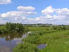 Vizinga.