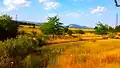 Védrovo : vue des environs