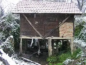 Ježeštica