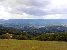 Teočin