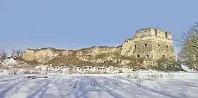 Image illustrative de l’article Château de Toky