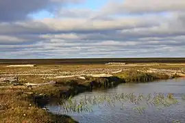 Île Chokalski.