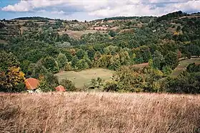 Urmanica