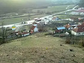 Čestobrodica