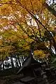 三峰神社・摂末社