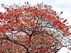 En hiver