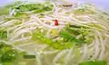 Nouilles à la soupe aigre (浆水面 / 漿水面, jiāng shuǐ miàn).