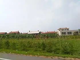 Xian de Wangkui