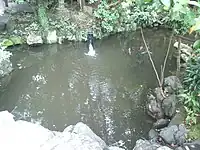 Étang