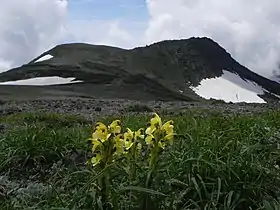 Vue du sommet depuis l'est-nord-est.