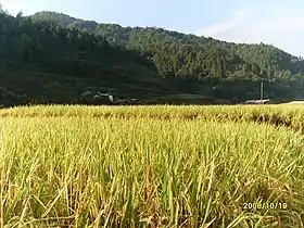 Xian de Jiaoling