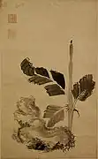 Roi Jeongjo (1752-1800). Bananier. Encre sur papier, 84,6&nbsp;×&nbsp;51,6&nbsp;cm. Musée de l'Université Dongguk, Séoul.
