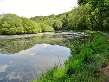 Blavet : le méandre de Castennec ; vue vers l'amont depuis le chemin de halage côté Pluméliau (à droite sur la photographie).