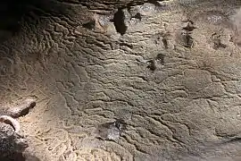 02&nbsp;: Le ruissellement d’eau sur le sol dépose, partout en relief depuis la gauche, des crêtes de calcite (gour).