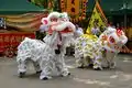 Danse du lion.
