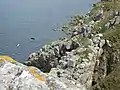 Les falaises de la Pointe de Leydé 6.