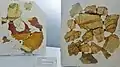 Fragments d'enduits peints trouvés dans la villa gallo-romaine de Keradennec en Saint-Frégant (IIIe&nbsp;siècle après J.-C., musée du Léon de Lesneven).