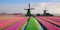1 Zaanse Schans, Amsterdam
