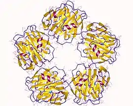 Image illustrative de l’article Pentraxine 2