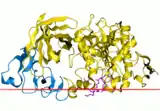 Image illustrative de l’article Enzymes pancréatiques (médicament)