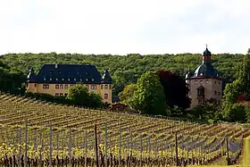Image illustrative de l’article Château de Vollrads