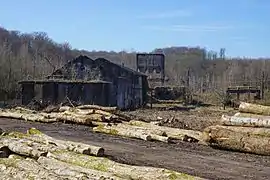 Un site défriché avec des tronc d’ares au premier plan et les ruines des bâtiments au second avec deux trémies de béton à l'arrière, l'une debout, l'autre sur le flanc.