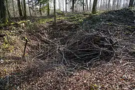 Un enfoncement rempli de branchages.