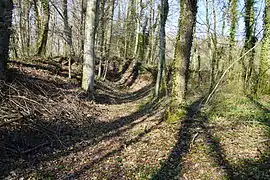 Le terril du puits no&nbsp;1.
